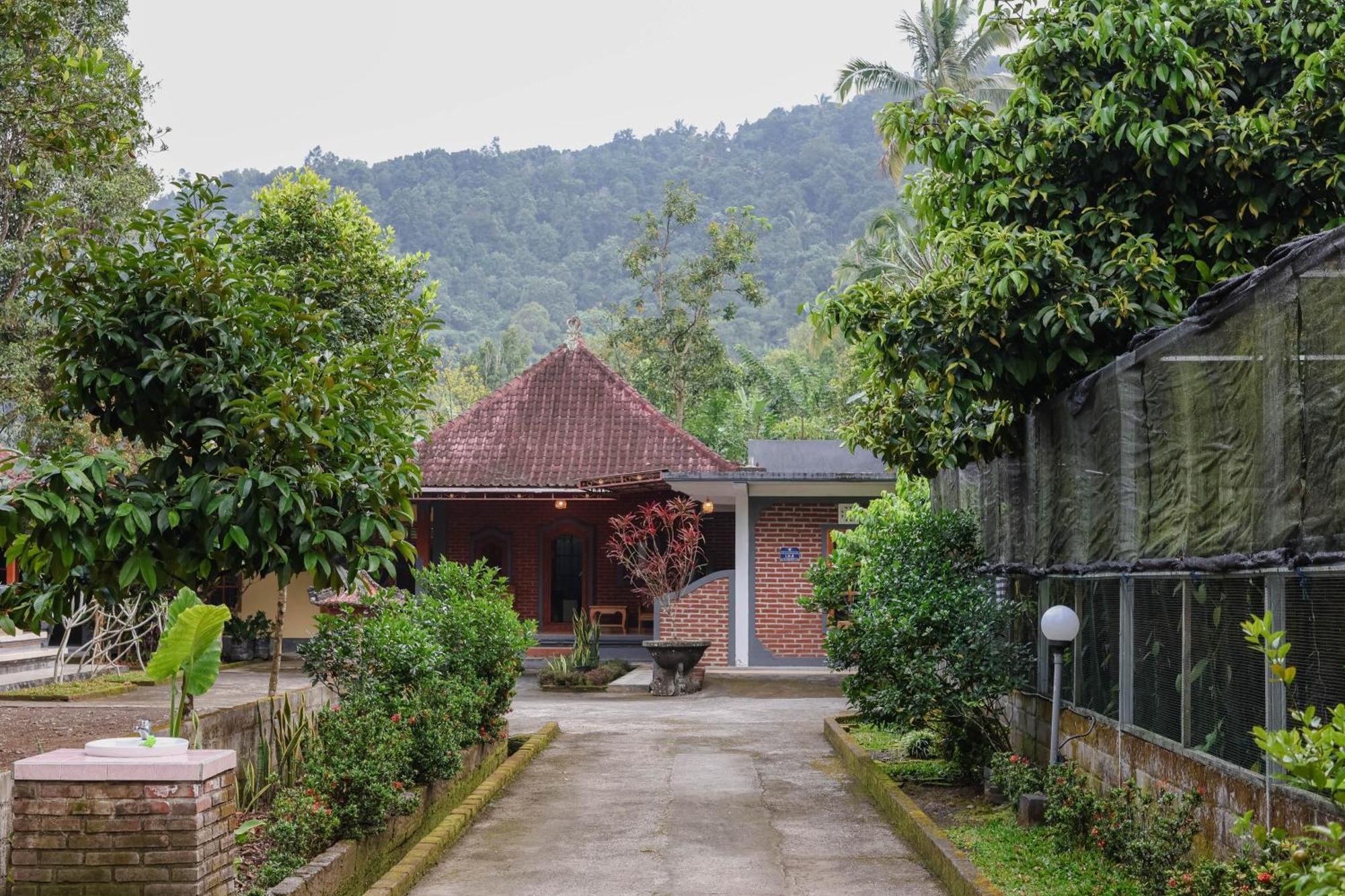 The Kori Homestay Munduk Extérieur photo